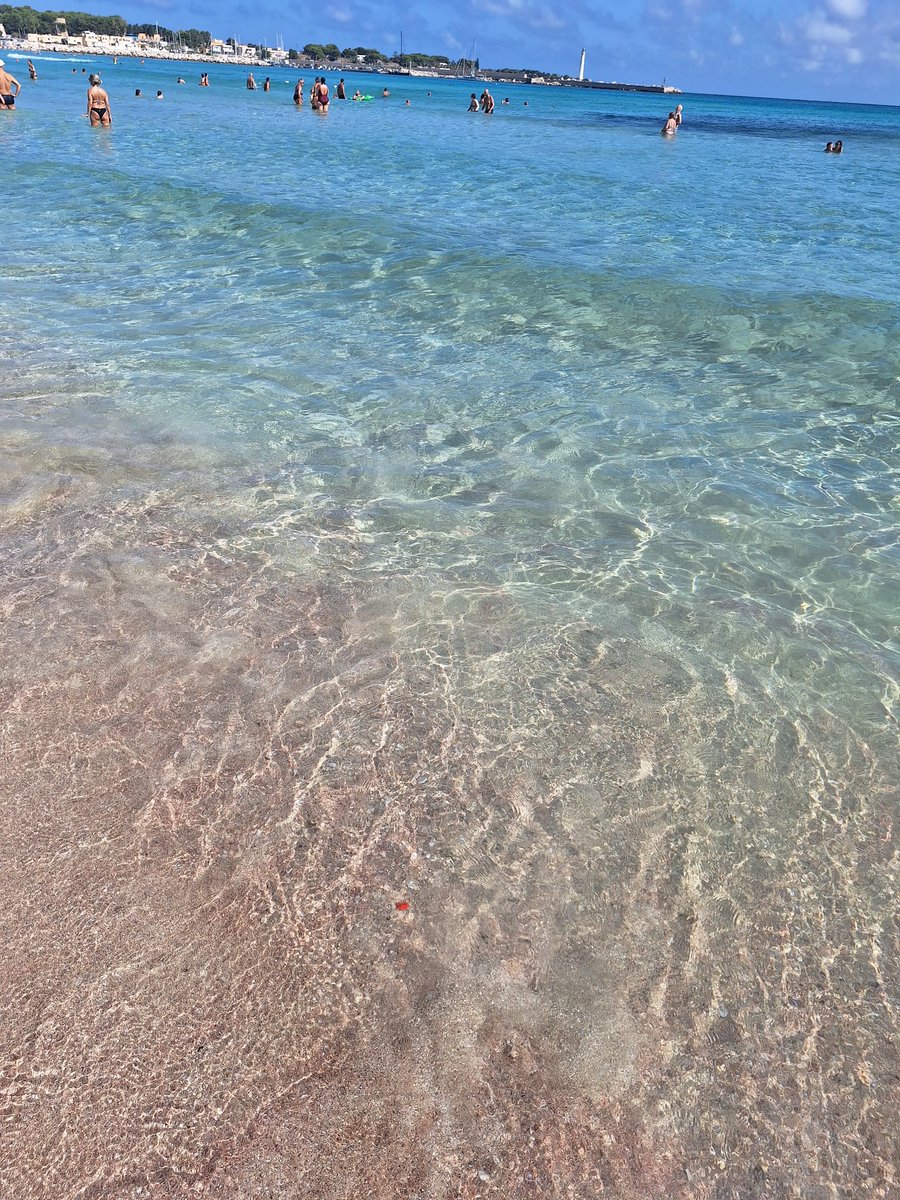 KatiaManduca's tweet photo. @paolo_is_dead Due foto della stessa spiaggia: la meravigliosa San Vito lo Capo. Il mare cambia, dipende da tante variabili che nessuno considera!! https://t.co/IMjubeXz2u