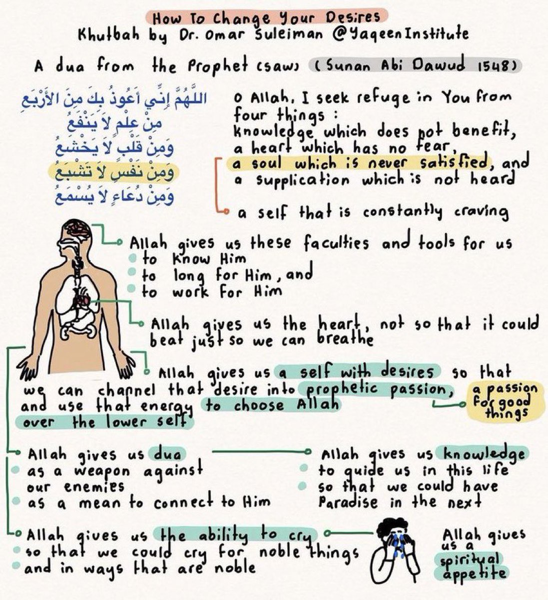 An amazing illustration of Imam Omar’s Khutbah about Desires 🧵