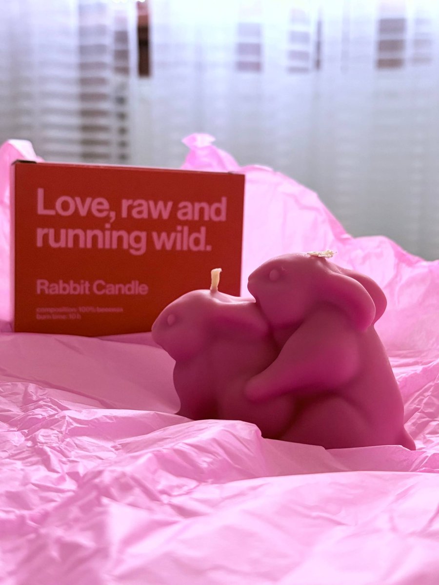 За донат від 100 грн ви можете виграти свічку з кролями 🐇🐇

send.monobank.ua/jar/7GR3NhbUHH