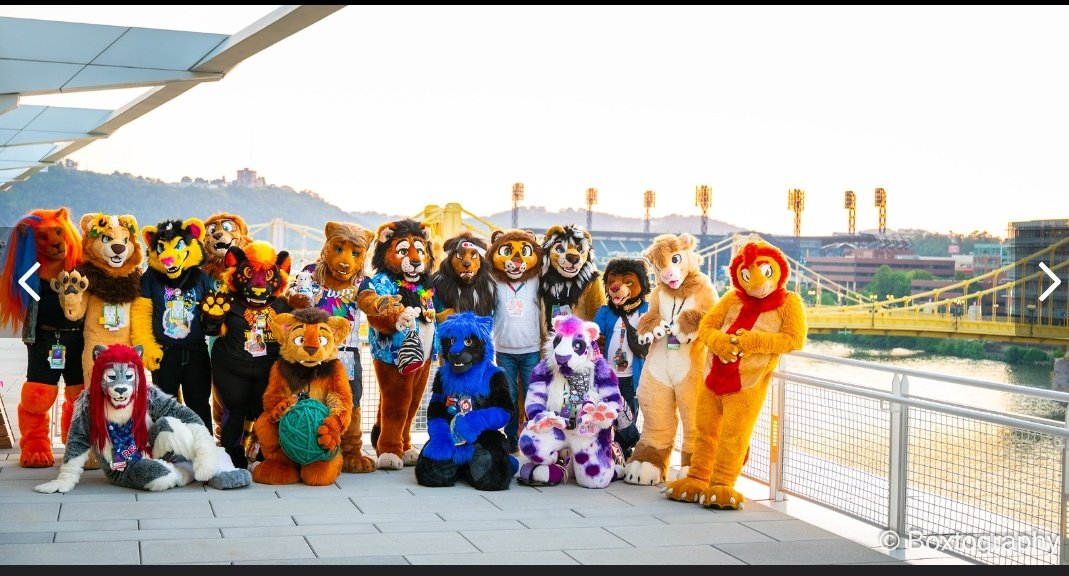 kodi_lion's tweet photo. The best lions! #WorldLionDay2025 
Help me convince @Nirathesaber to become a lion 👀 https://t.co/5gaznVpkHQ