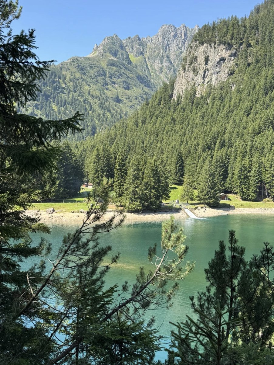 rev❤️‍🩹 tweet media