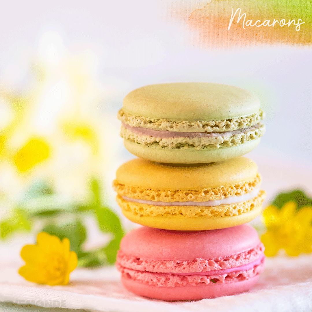 TV5MONDEAsia's tweet image. Le #macaron est réputé pour sa délicatesse et la finesse de son parfum. Lequel aimez-vous? #FrenchDessert