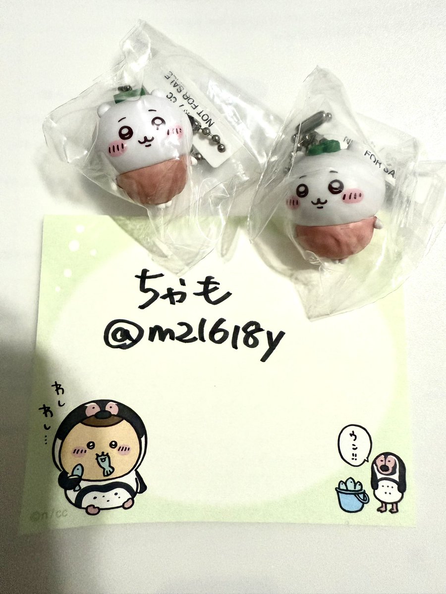 ちゃも👣 tweet media