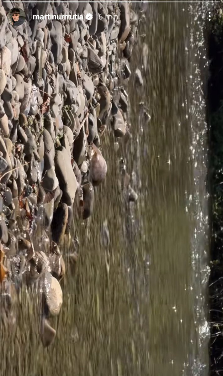 mi pequeñín hecho de naturaleza 🤏