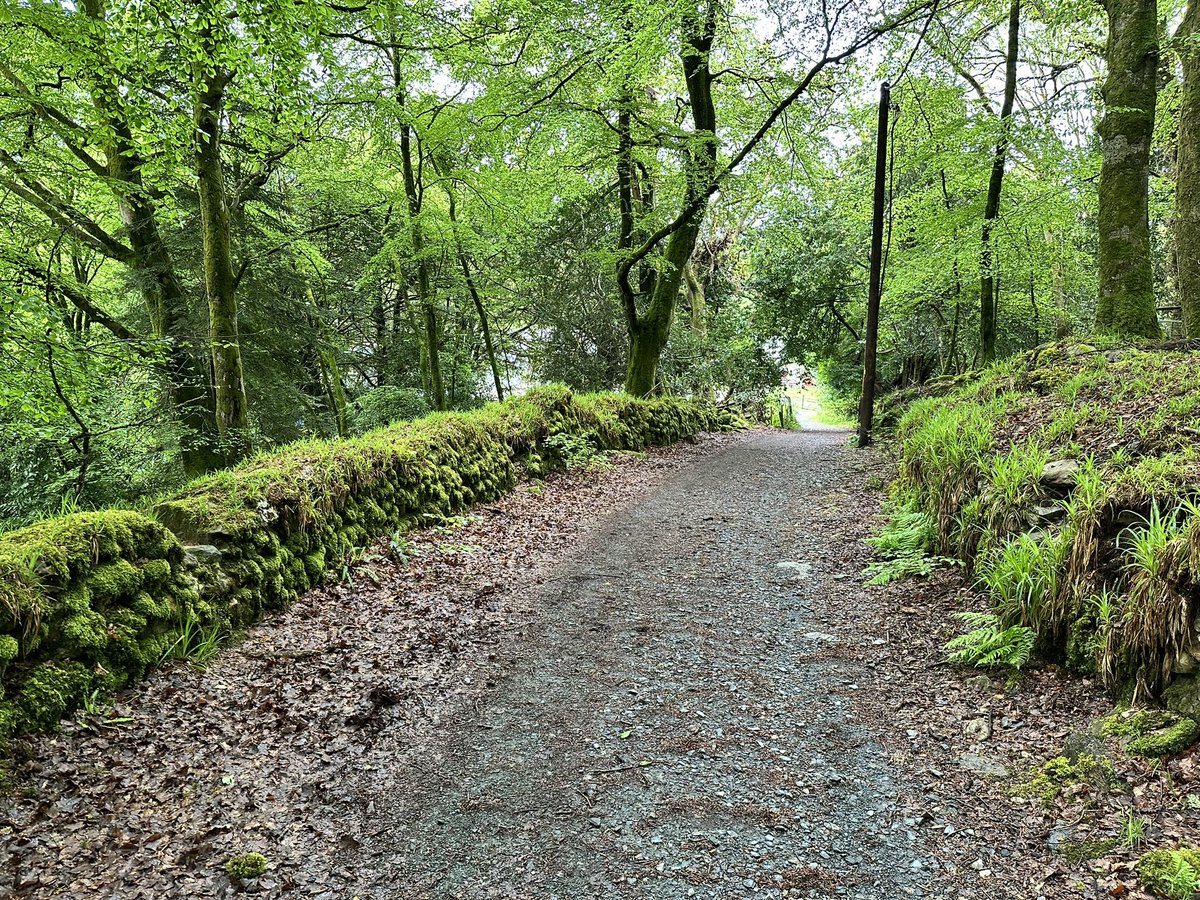 _bishop16's tweet image. “It's a dangerous business, Frodo, going out your door. You step onto the road, and if you don't keep your feet, there's no knowing where you might be swept off to.” - J.R.R. Tolkien