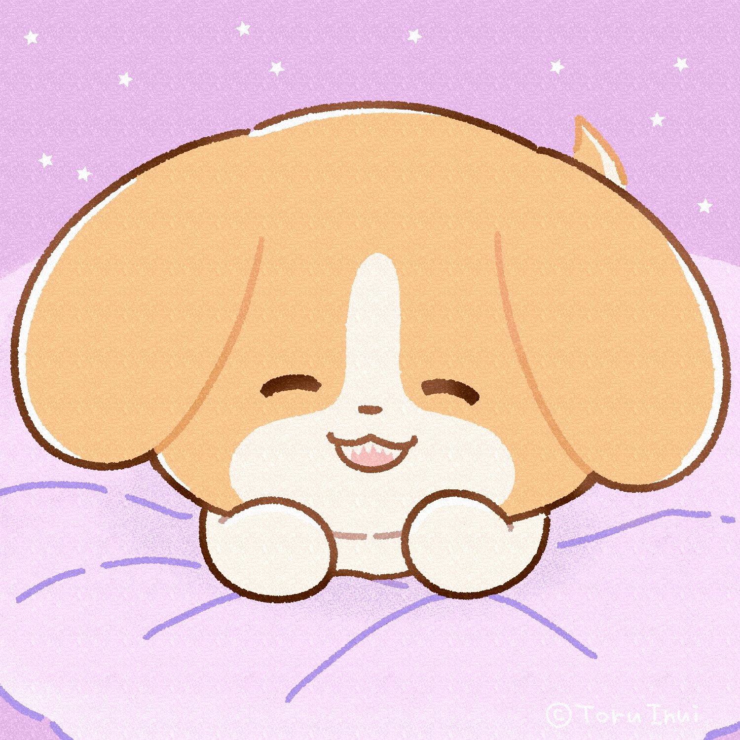 きなこはちわわ きなこ(チワックス) (@kinako_chihuachshund623) • Instagram