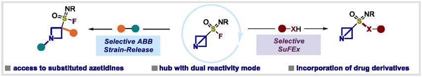 Philipp Natho (@nathophilipp) on Twitter photo Interested in strained molecules or SuFEx - or both? We got you!
We designed a hub that merges:
✨ABB strain-release – unlocking substituted azetidines
✨SuFEx chemistry – enabling molecular ligations
🔓advanced.onlinelibrary.wiley.com/doi/10.1002/ad…
<a href="/MarcoColella92/">Marco Colella</a> <a href="/MSCActions/">Marie Skłodowska-Curie Actions</a> <a href="/Luisi_Lab/">Luisi-Lab</a> #ExpandFlow Interested in strained molecules or SuFEx - or both? We got you!
We designed a hub that merges:
✨ABB strain-release – unlocking substituted azetidines
✨SuFEx chemistry – enabling molecular ligations
🔓advanced.onlinelibrary.wiley.com/doi/10.1002/ad…
<a href="/MarcoColella92/">Marco Colella</a> <a href="/MSCActions/">Marie Skłodowska-Curie Actions</a> <a href="/Luisi_Lab/">Luisi-Lab</a> #ExpandFlow