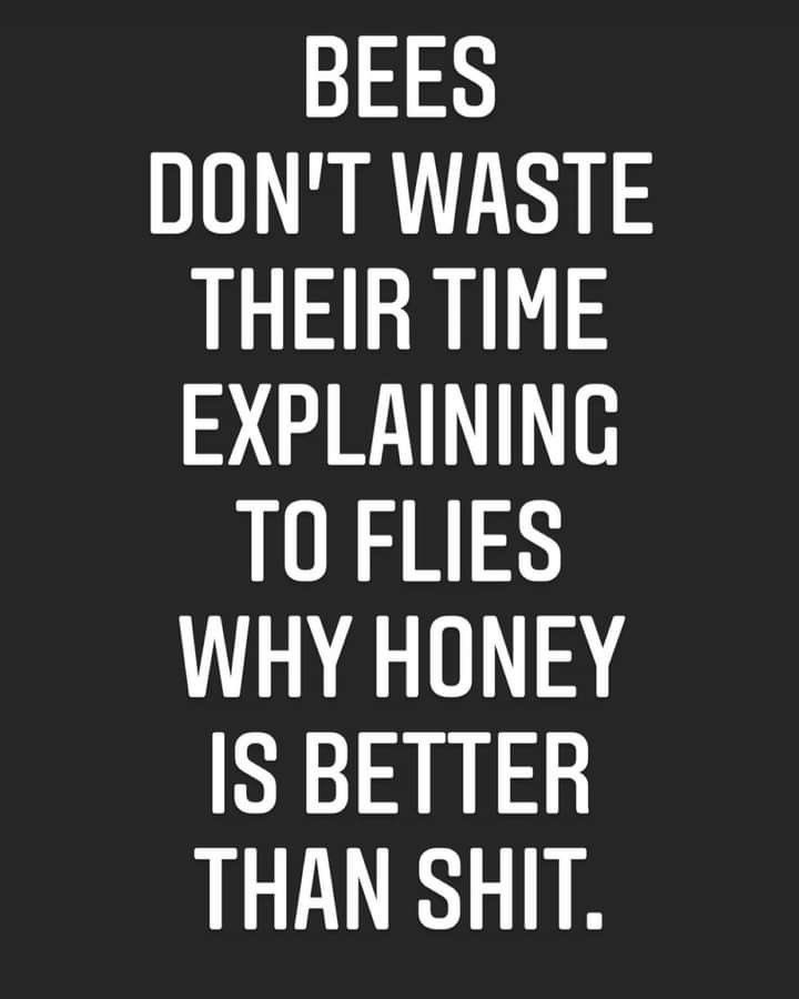 𝓔 𝓑𝓮𝓮 ©️🐝 tweet media