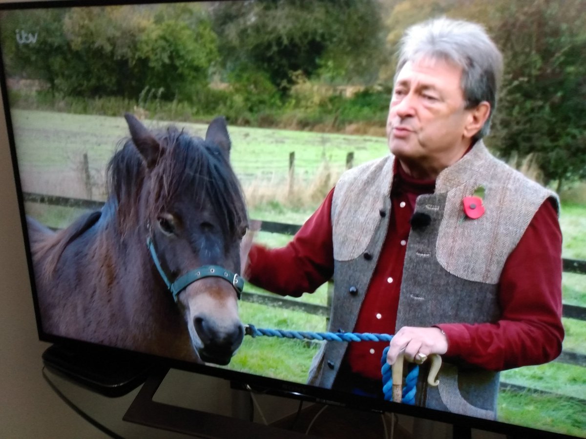 ValeriaCoots's tweet photo. Meet the dream team! @ExmoorPonyCntre 's amazing apprentice Maisie and the fabuloues Pascoe - iIt was their FIRST show ever and they WON at #BromptonRegis village fair! Pascoe once featured on the #AlanTitchmarsh show ! @TitchmarshShow #exmoorponies #nativebreed #exmoor https://t.co/duWQ4y49QL