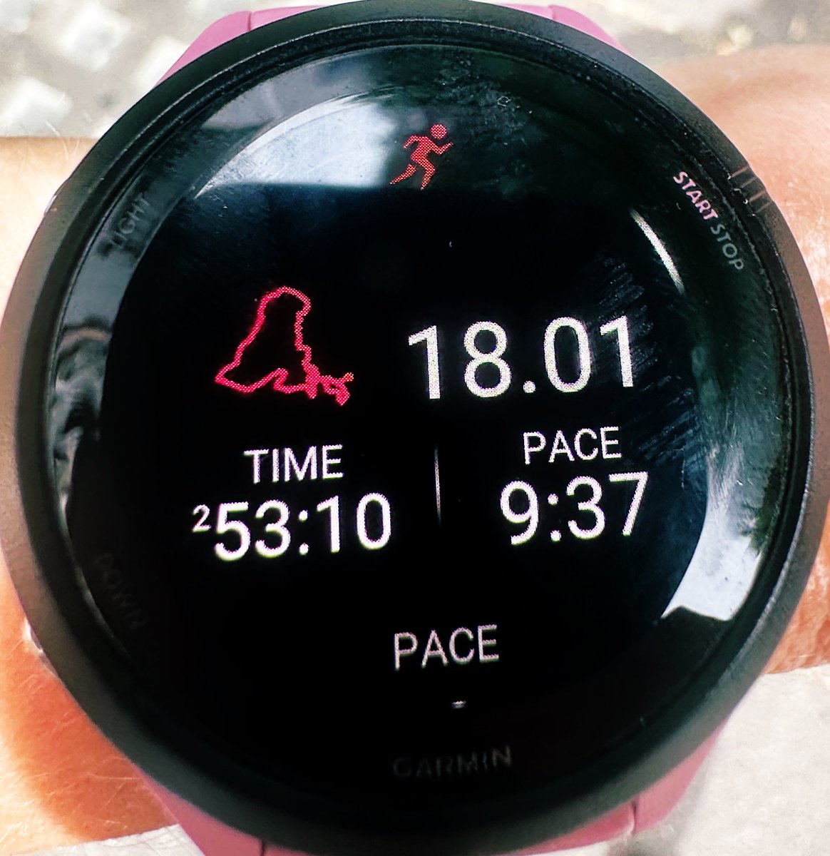 Perfect day for a leisurely long #run 🏃🏼‍♀️ through meadows, wildflower fields and under one of Brunel’s finest and underrated beauties…. #Hanwell 
<a href="/UKRunChat/">UKRunChat</a> <a href="/RunnerBliss/">Runner Bliss</a> #ukrunchat #London