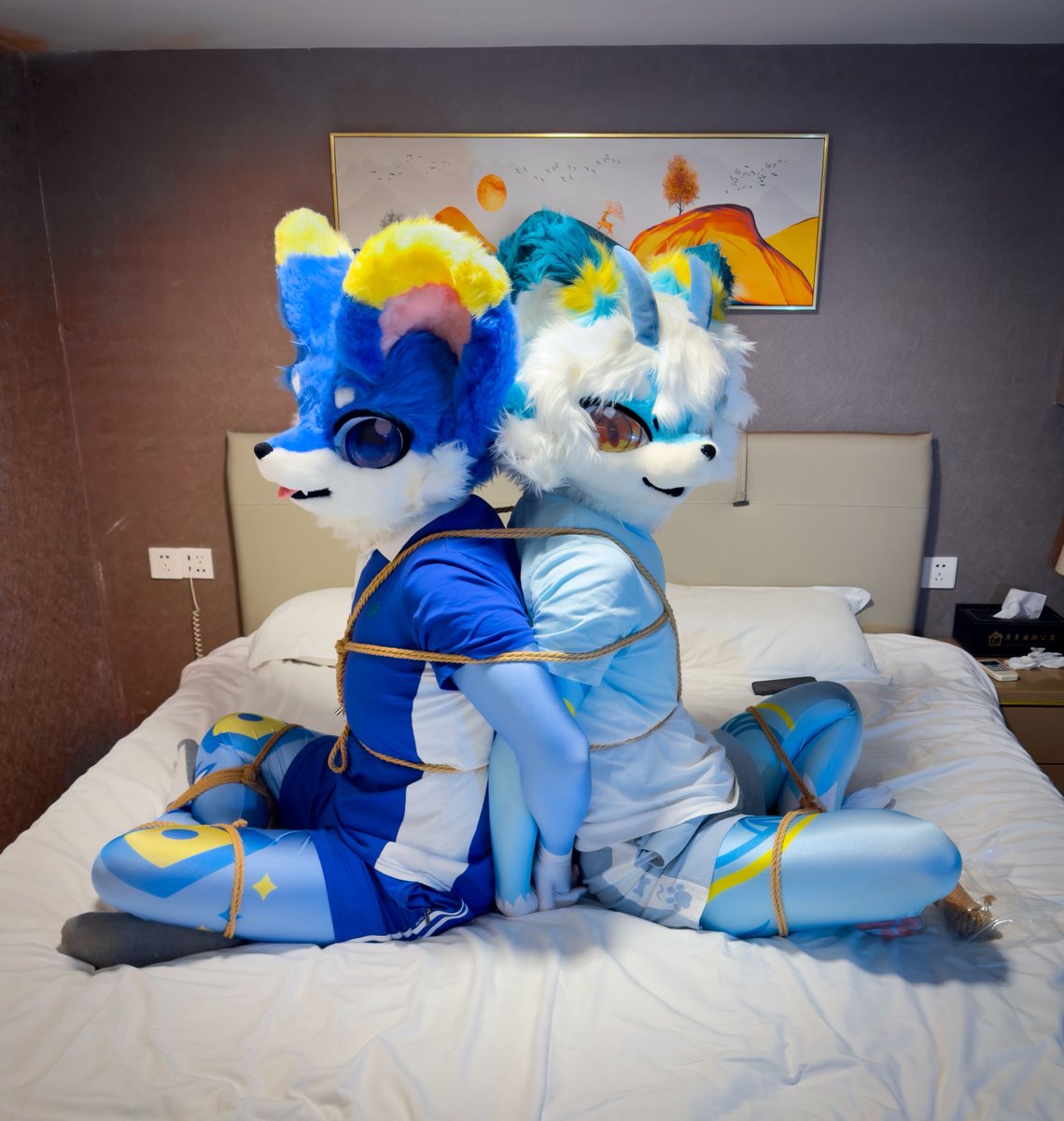 小兽太战败记录第19.0弹
刚刚不是还在欺负小兽太，怎么转眼就给绑一起了哦～
#小动物作战记录
<a href="/blbcymc/">白凛bcymc</a> <a href="/mng048778548204/">铭</a>