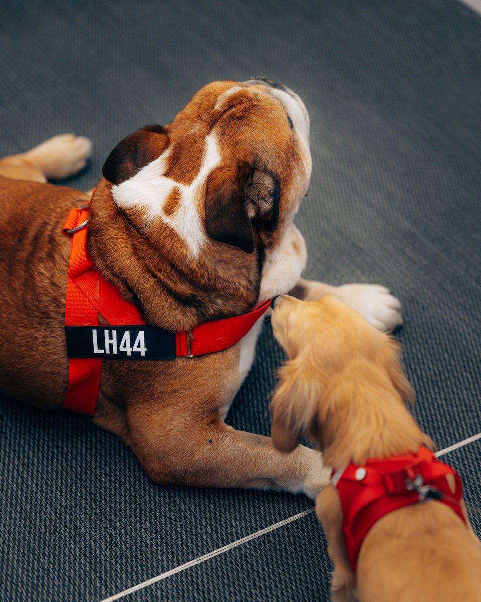 Everyone’s favourite duo ☺️