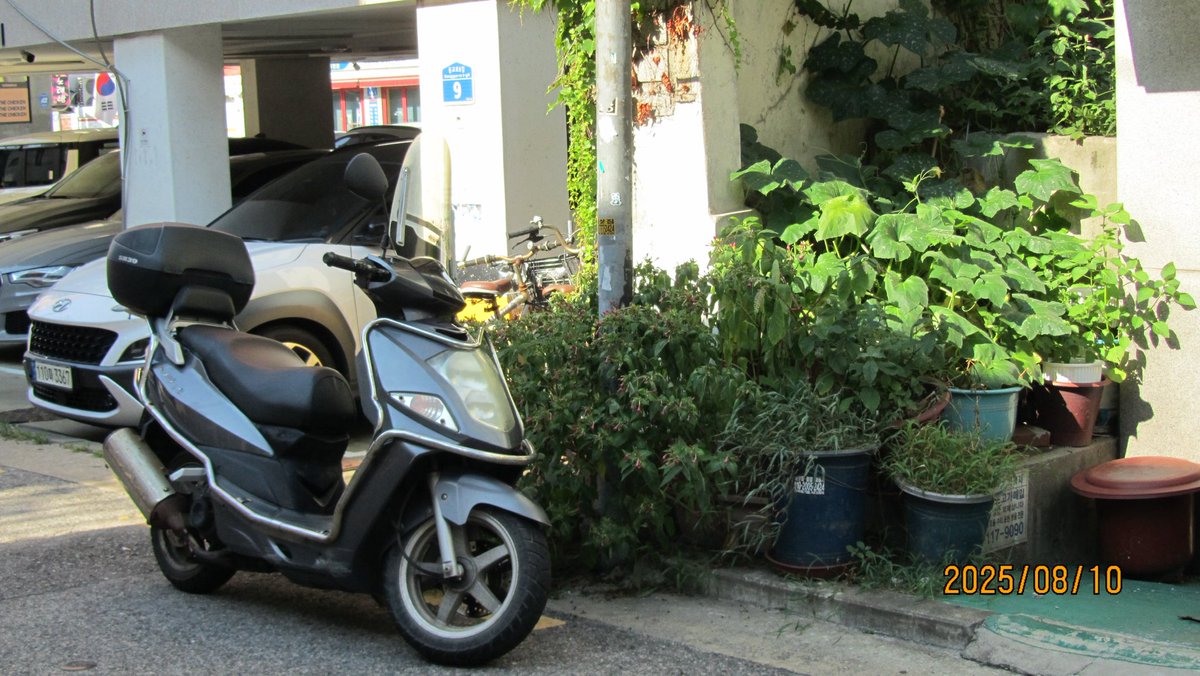 gazingstill (@gazingstill) on Twitter photo 