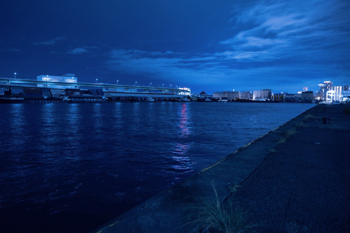nilikoko's tweet image. 