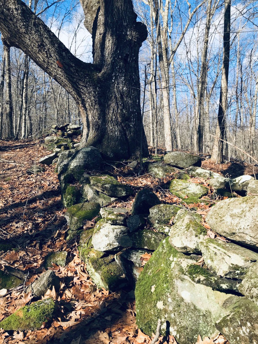 When we choose to judge others, we forget that we too are capable of poor decisions &amp; behaviours. If we choose to judge ourselves, we forget that everyone else is also capable of poor decisions &amp; behaviours. When in doubt, choose kindness for everyone. #mindfulsuper