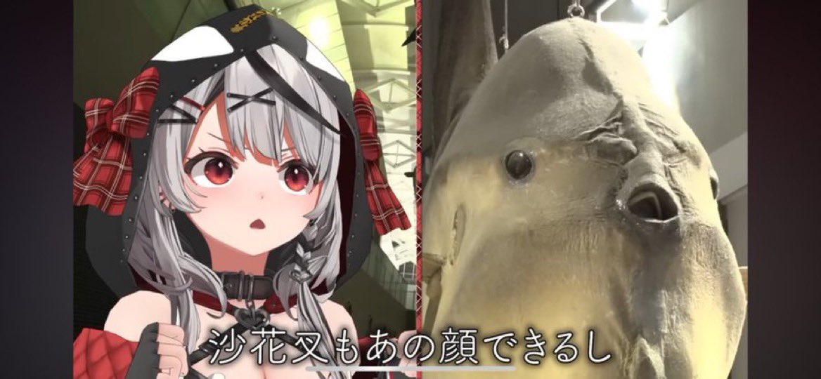 ﾋﾎﾟﾎﾟﾀｽ🎣☔️🐬 tweet media