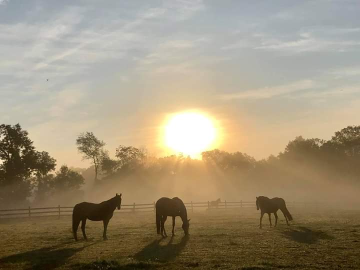 Good Sunday Morning!