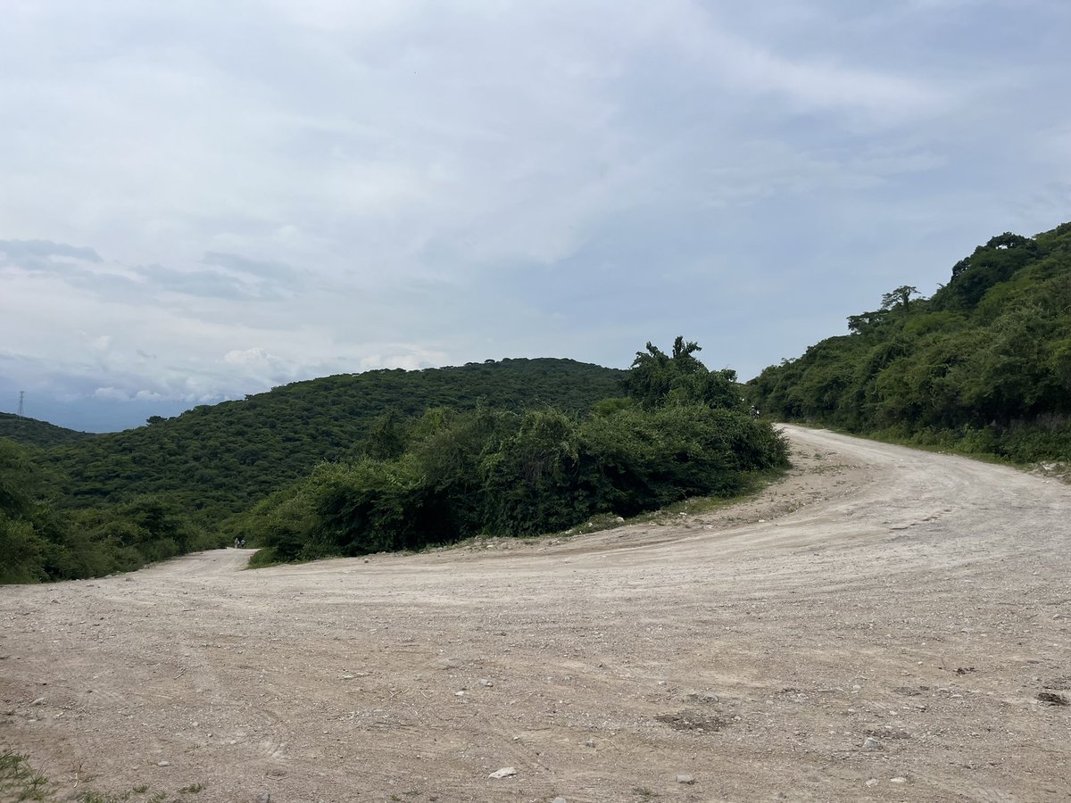 Que todos tengamos un gran domingo ✔️