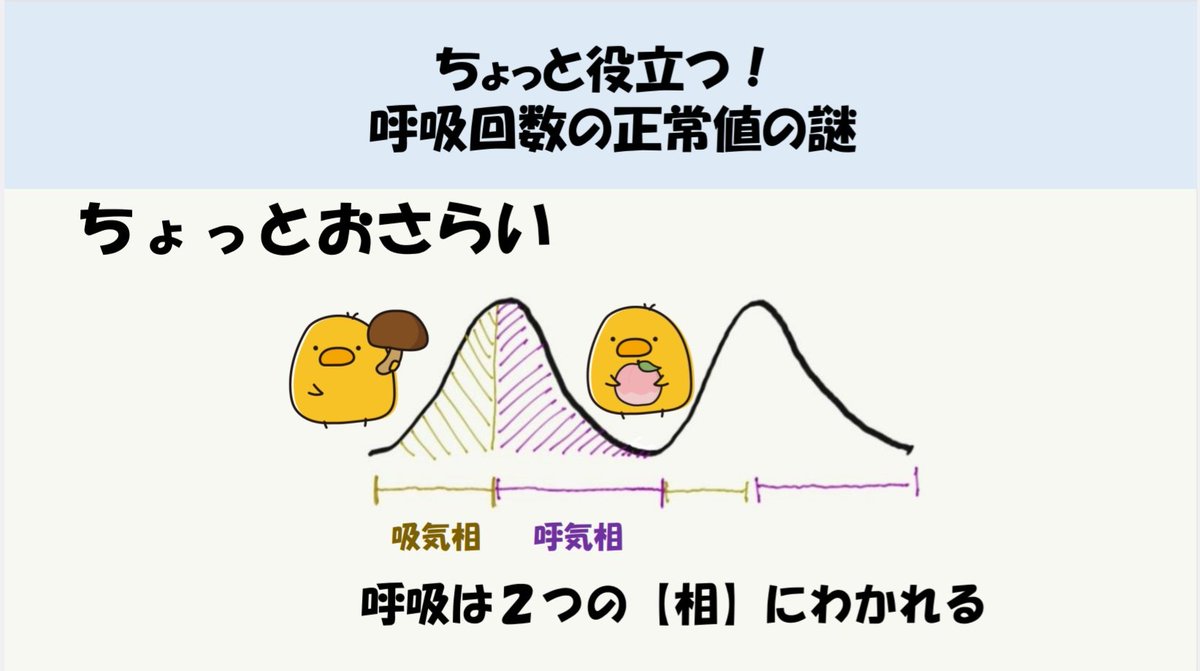 panta_11's tweet photo. 【呼吸回数の正常範囲】
呼吸回数は大事!!
頻呼吸になったらだめ!!
★じゃあなぜ頻呼吸がだめなのか
★25回が上限なのはなぜなのか

改めて呼吸の基礎を復習してました
役に立つと思うので、是非!!

#医療
#看護師
#呼吸
#ICU
#勉強 https://t.co/lu1tBAM39T