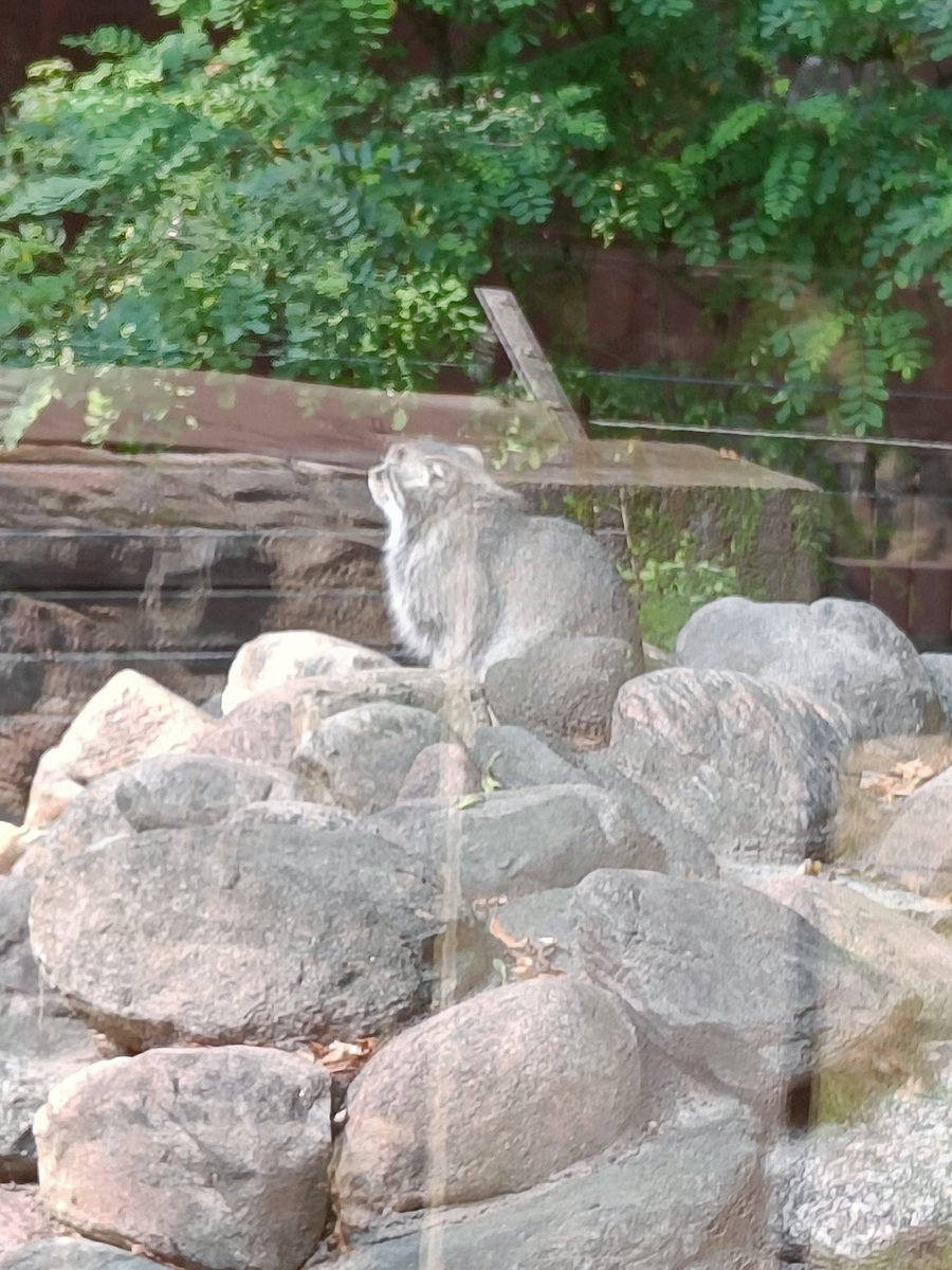 Dotarłem do ważnego miejsca dla każdego Polaka 🫡🫡🫡