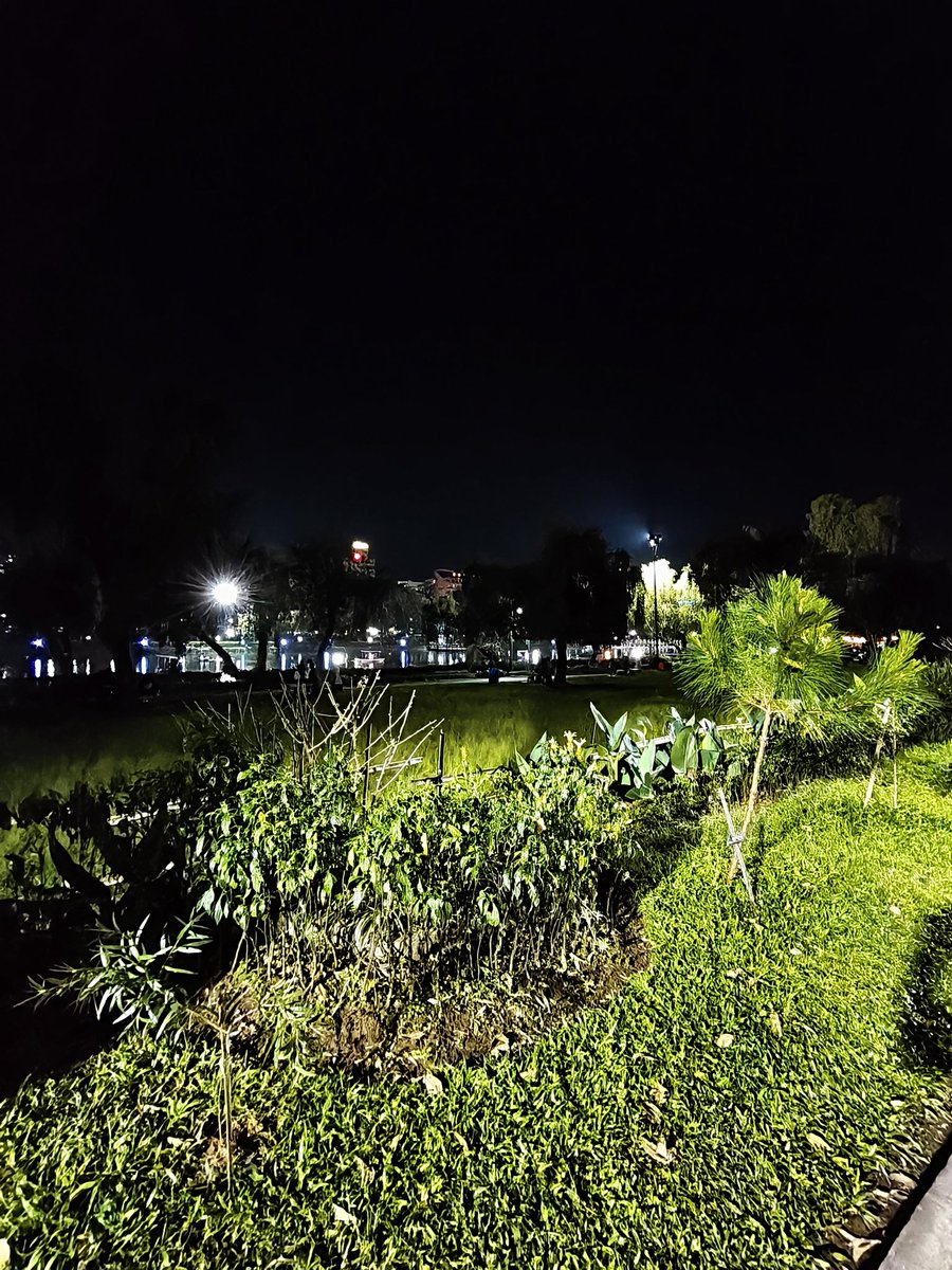 littlengrbot tweet picture