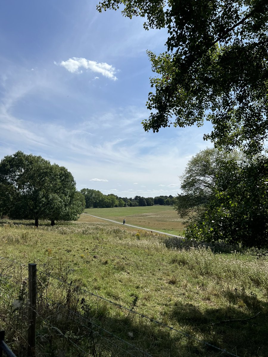 كثرت عشوائياتي وعناويني معد تكفي