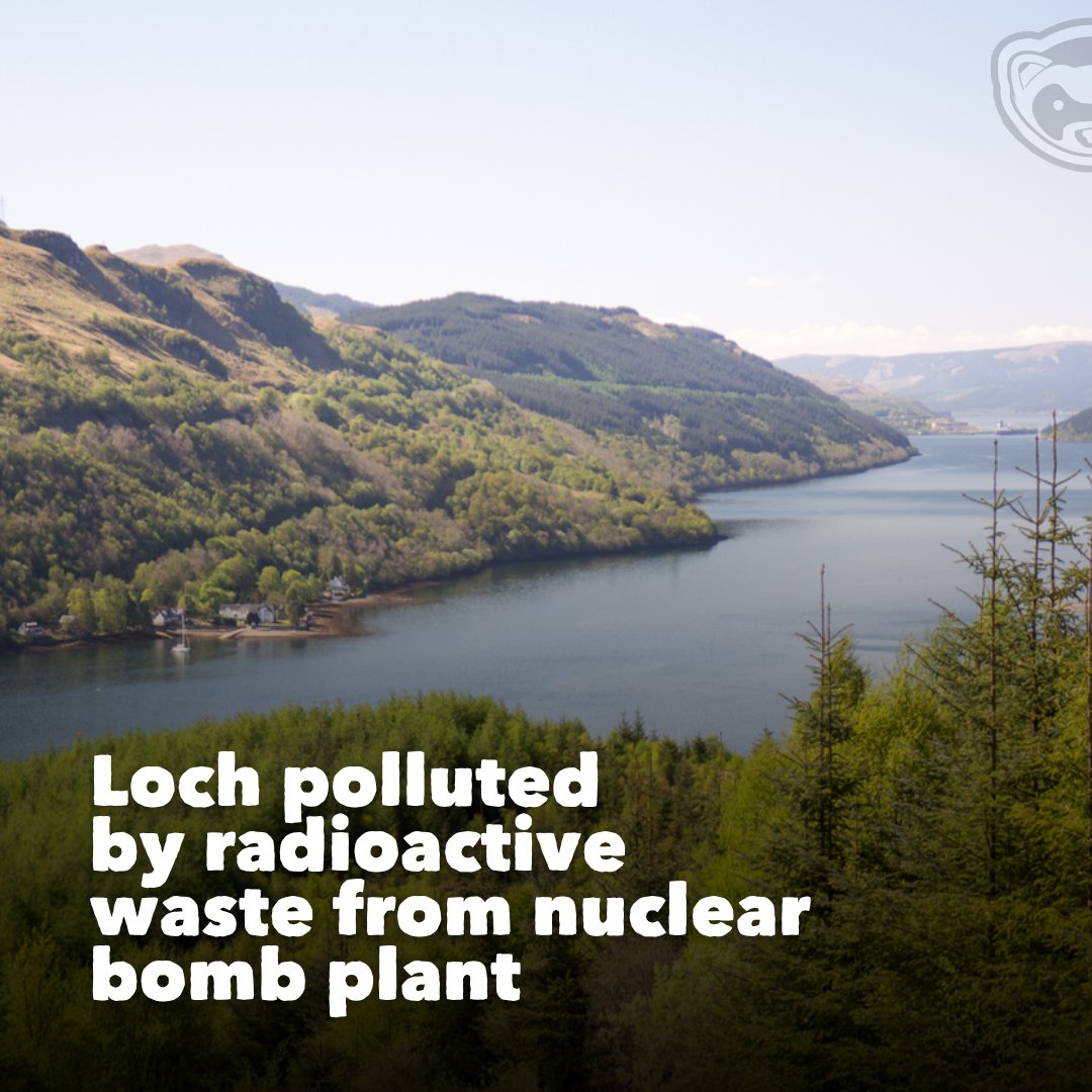 The Ferret (@ferretscot) on Twitter photo After six years of FOI requests and appeals, we obtained documents previously withheld on national security grounds — revealing radioactive leaks from the UK’s nuclear bomb store
bit.ly/4mBvOJo After six years of FOI requests and appeals, we obtained documents previously withheld on national security grounds — revealing radioactive leaks from the UK’s nuclear bomb store
bit.ly/4mBvOJo