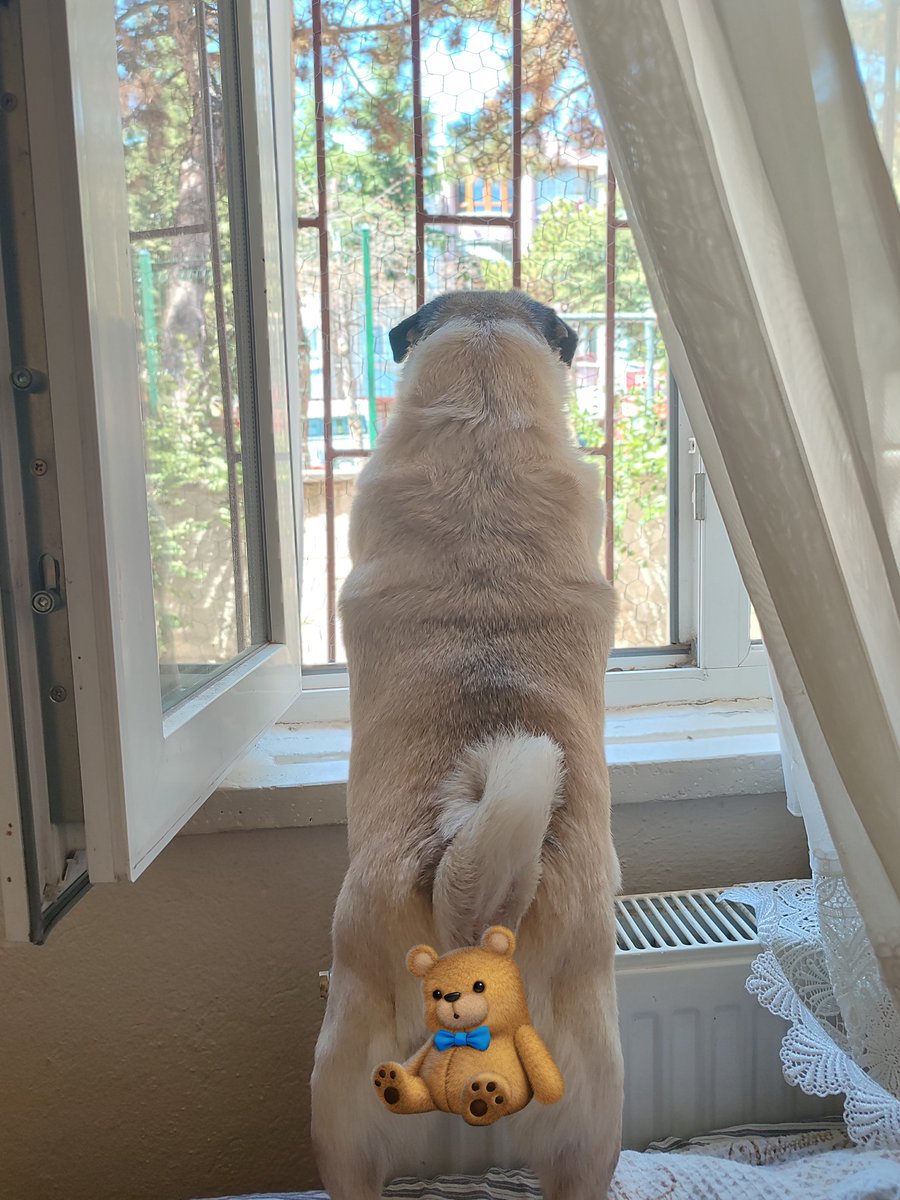 Topunusu keserm ha atmayun buraya