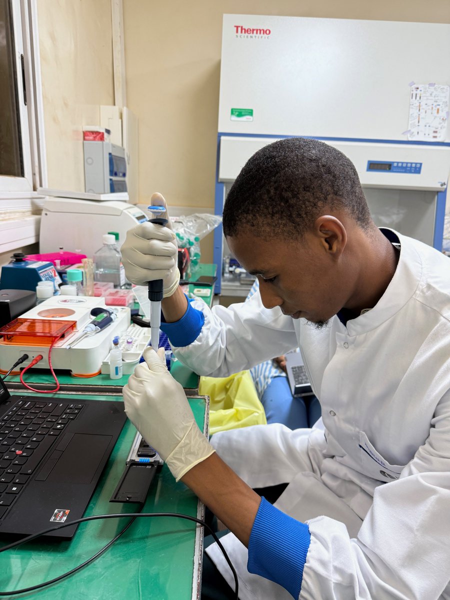 Amy Kristine Bei tweet media