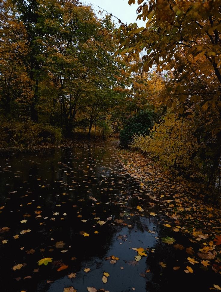 talya9646171863's tweet photo. Autumn rain https://t.co/bQTNZM6ZJT