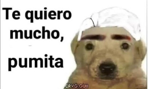 é muito difícil odiar esse homem