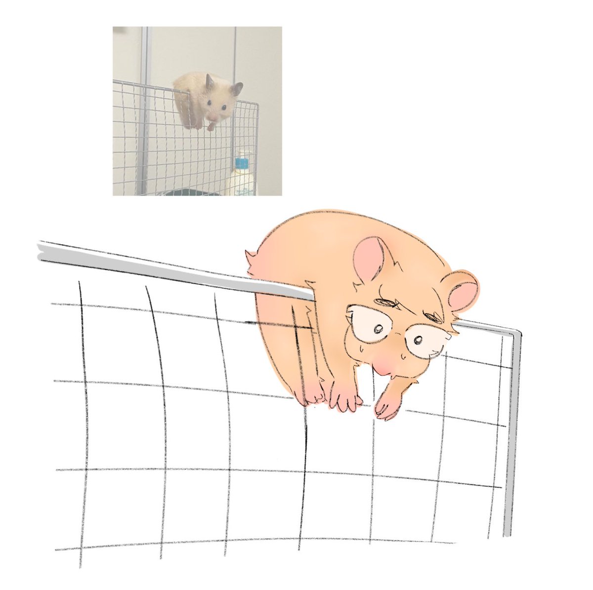 edward hampter ❔💚 
(highly inspired by <a href="/2deedouble/">dee🔞</a> )