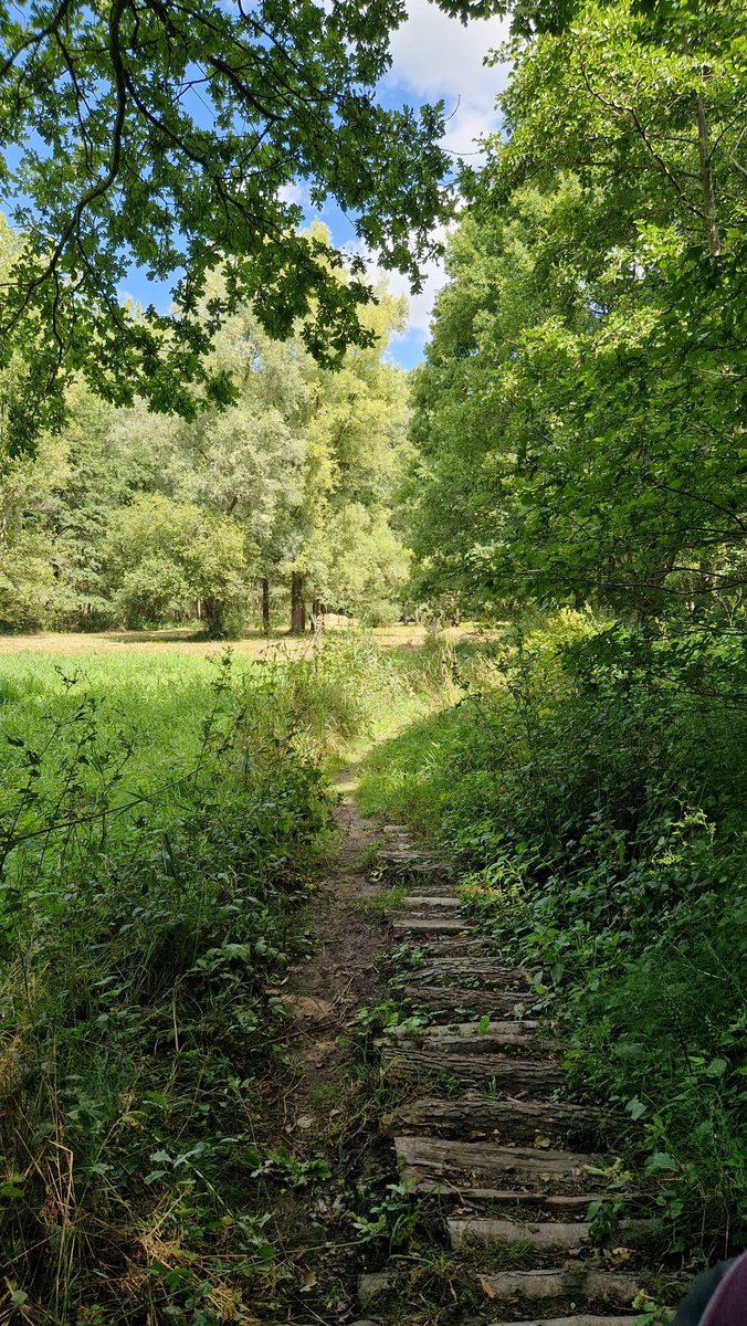 #vrtweer #silsombos #nederokkerzeel