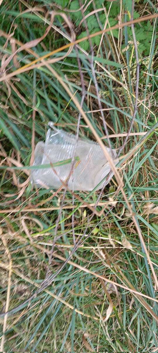 JoseLuisSTAP's tweet image. Protegir la natura?

Aprovem la Llei de Residus de Catalunya que fa anys i panys que no som capaços?

Apliquem sistemes eficients com #SDDR, @Porta_a_Porta
i Contenidor amb Xip?

Prohibim i fem complir vaixella d&apos;un ús, innecessàries etiquetes i envasat de fruites...?
📸Avui
