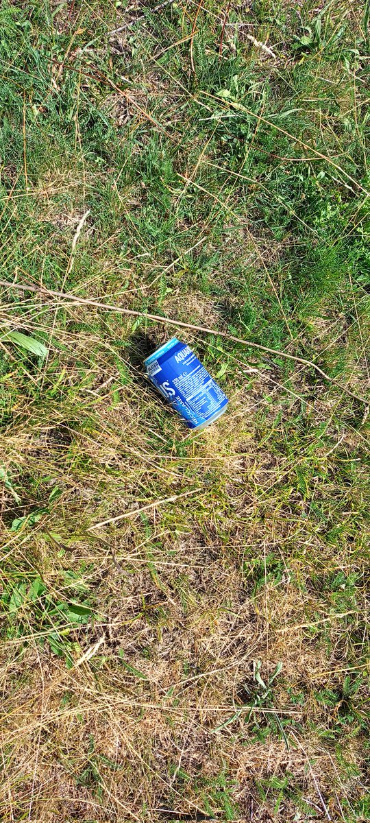 JoseLuisSTAP's tweet image. Protegir la natura?

Aprovem la Llei de Residus de Catalunya que fa anys i panys que no som capaços?

Apliquem sistemes eficients com #SDDR, @Porta_a_Porta
i Contenidor amb Xip?

Prohibim i fem complir vaixella d&apos;un ús, innecessàries etiquetes i envasat de fruites...?
📸Avui