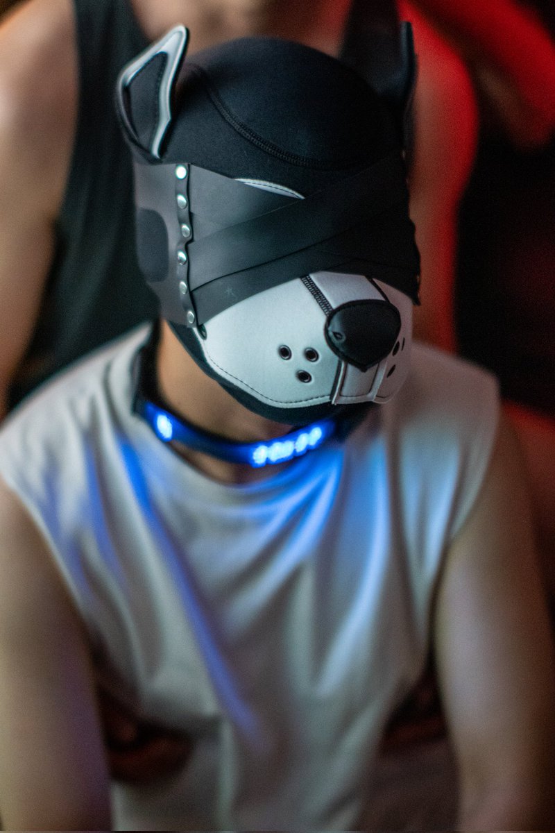 Locker Room 更衣室
@ Pawprint Club