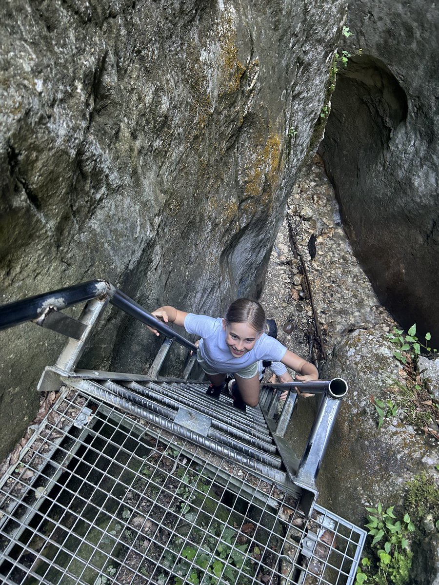 Dom Tulett tweet media