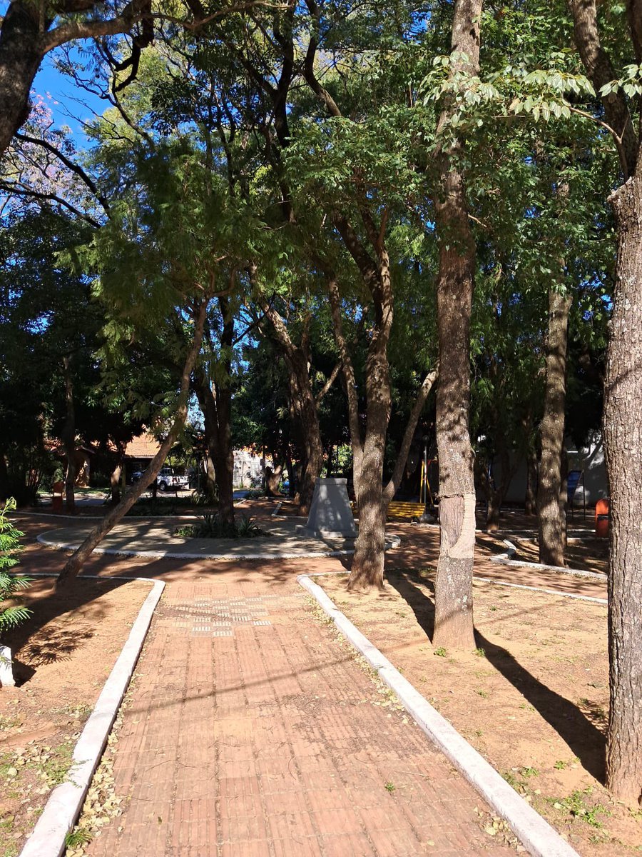 ¡¡¡Buen día desde la hermosa Plaza Walt Disney!!! Gracias al Tío Raúl que siempre la cuida con tanto amor ❤️  <a href="/Telefuturo/">Telefuturo</a> <a href="/LaNacionPy/">Diario La Nación</a>