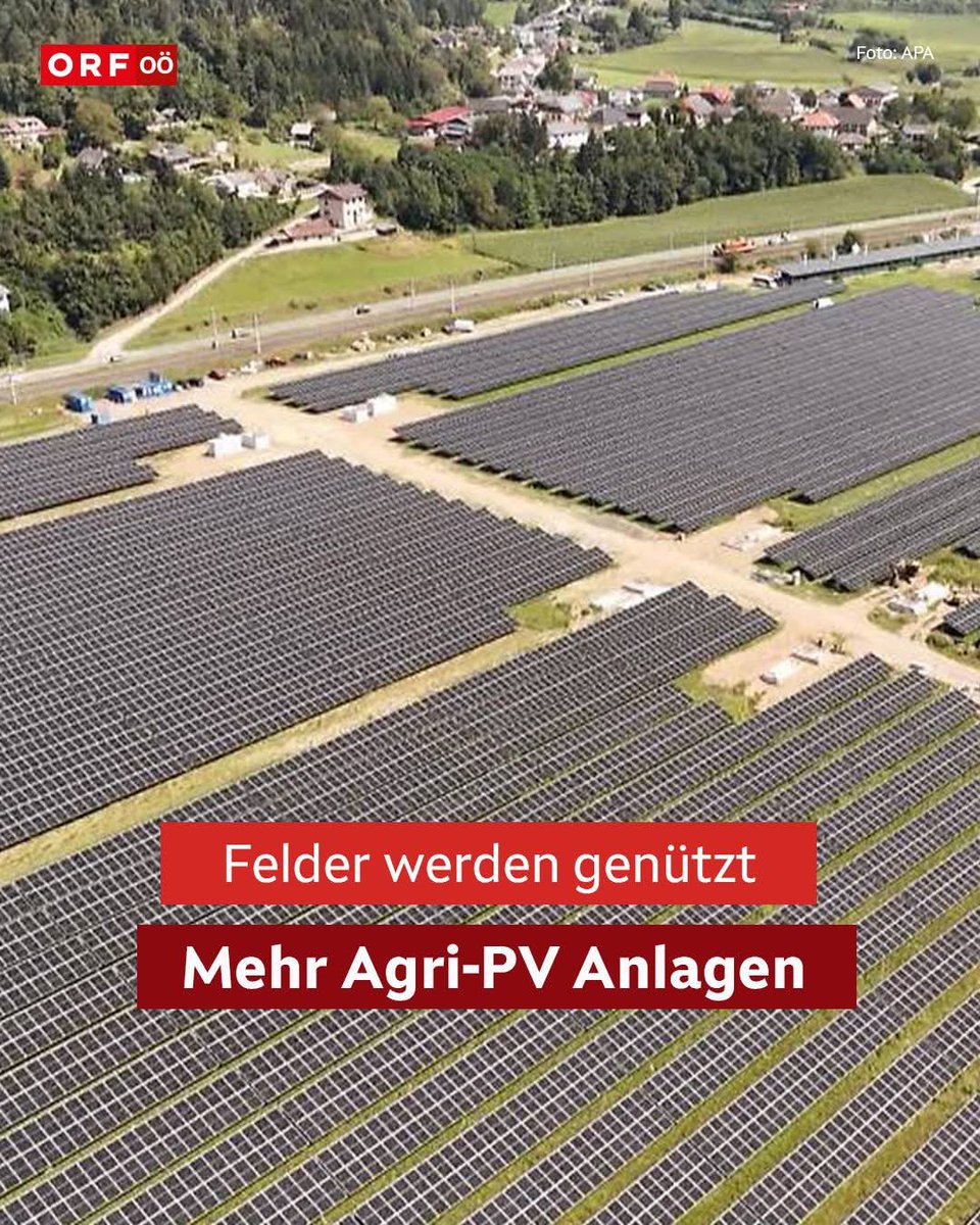 Für Linksgestörte ist das "Fortschritt" und "gut für die Natur".