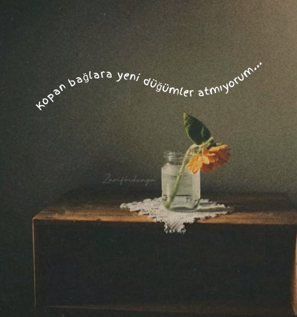 Ophelia (@opheliart_1) on Twitter photo 