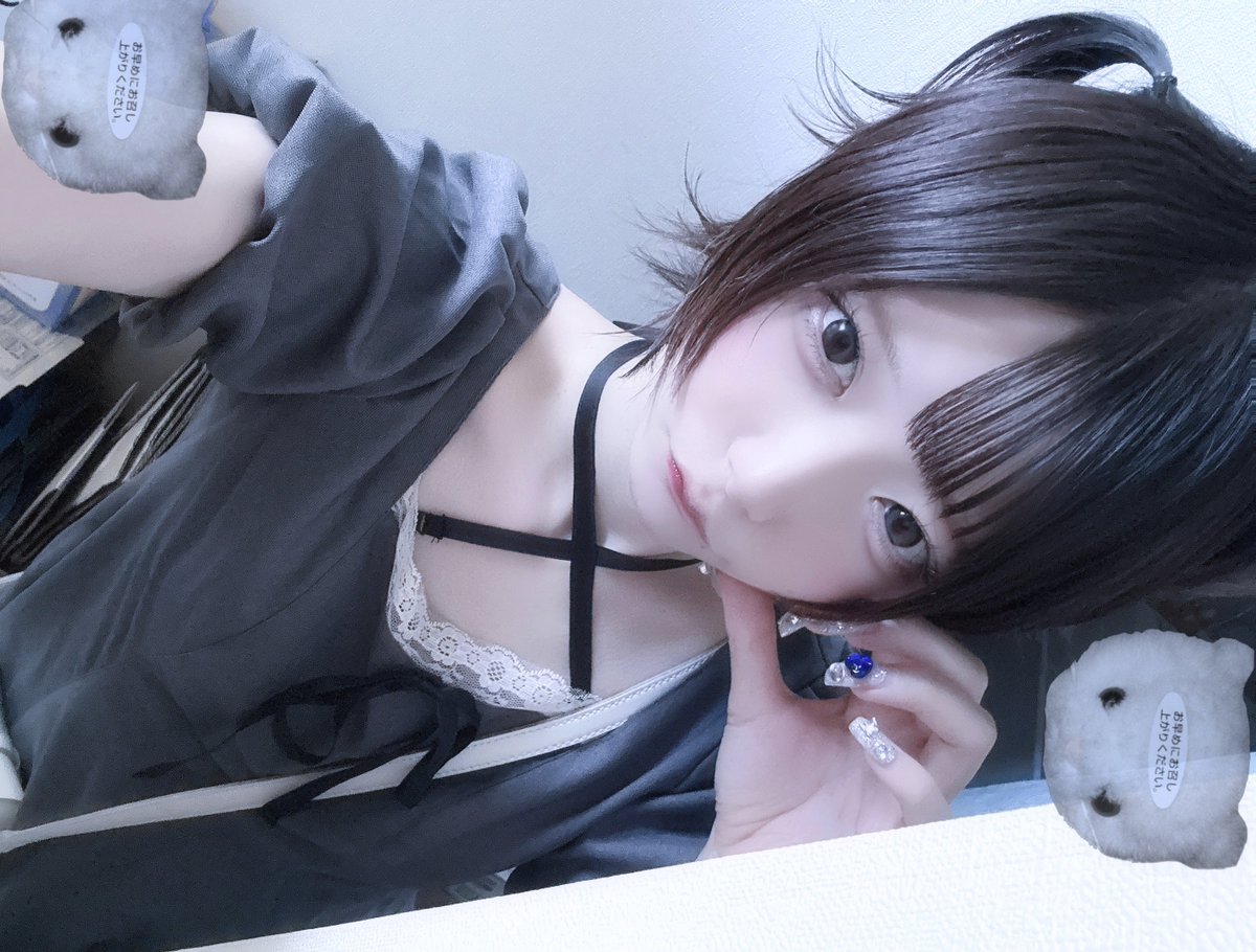 なでにゃん❤︎しろー〜❕