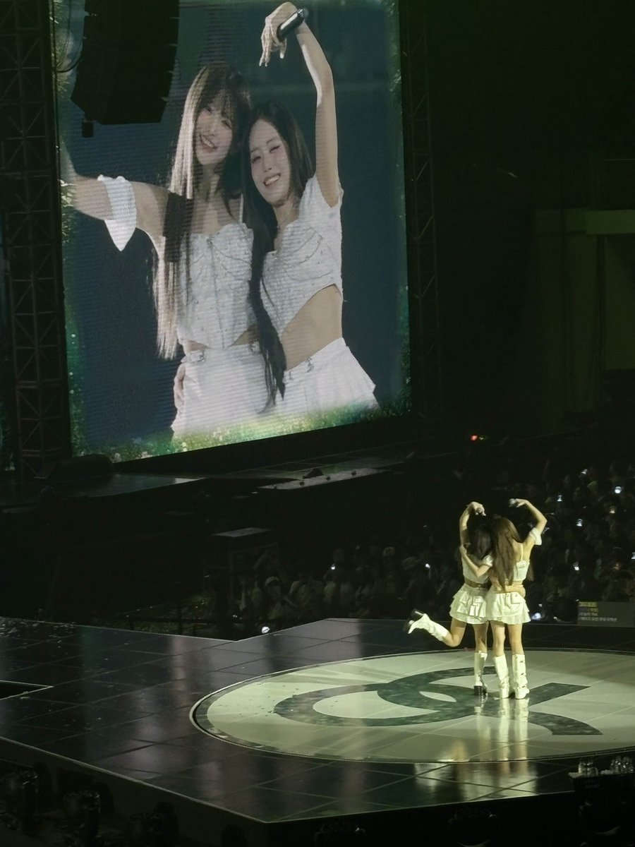 언제나  노랑해