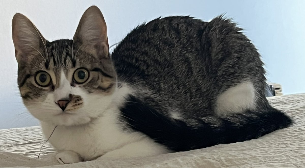 - Abuela.
- Buen día, La CUTI Romero de mi corazón. 
- Tengo hambre, levantate y dame de comer.