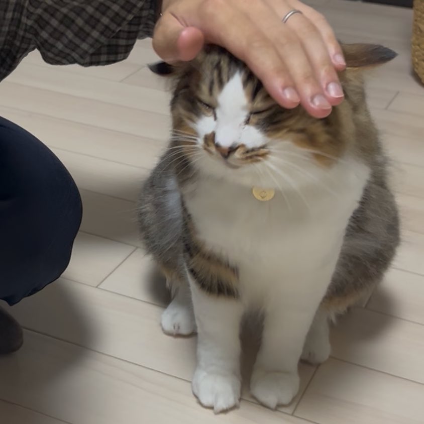 いいこ