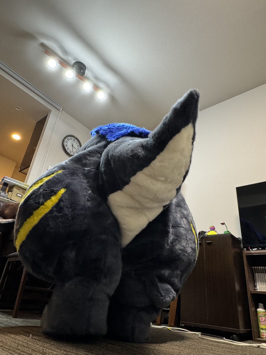 お、おれの後ろ姿なんて見せ物じゃないぞ…💦💦💦
#FursuitsFriday