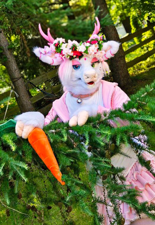 Spring doe in hers natural habitat. How about a little walk in the woods together? ^///^