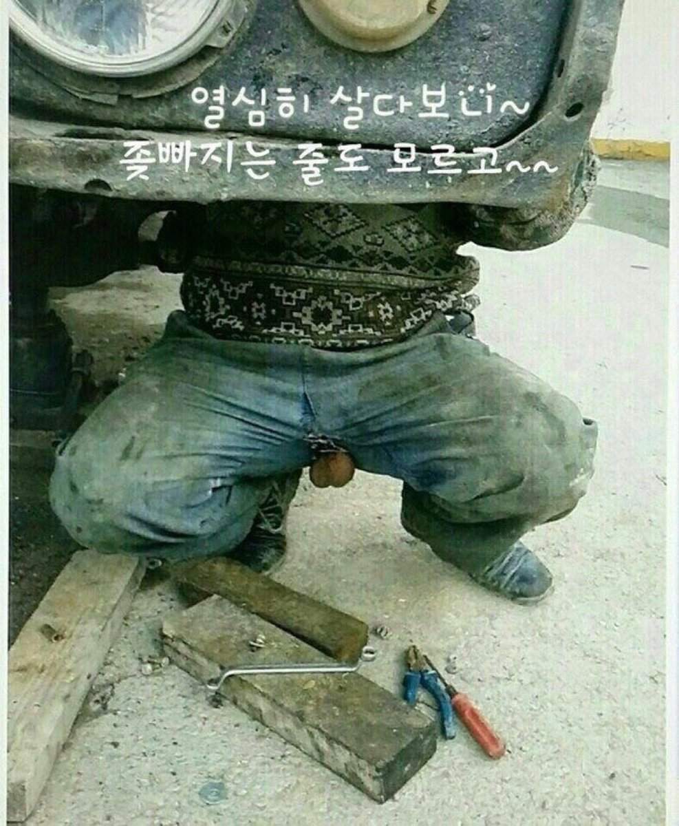 갤러리백업 tweet media