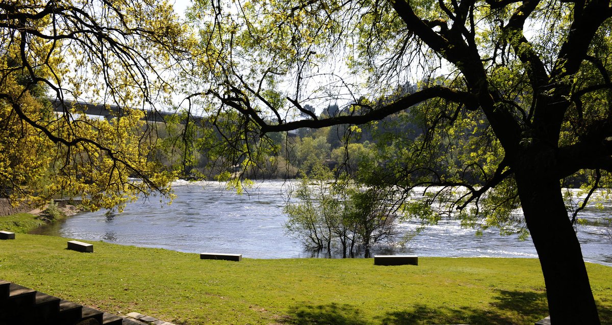destaca igualmente #Arbo  por sus #paisajes, que combinan la belleza del río, bosques y áreas naturales preservadas. La riqueza natural del municipio contribuye a un #turismo que busca desconectar y disfrutar de... periodistadigital.com/elbuenvivir/20… #viajes #Galicia #lamprea <a href="/ArboConcello/">Concello de Arbo</a>