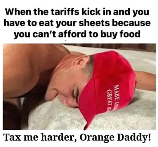 Eliza 🇺🇸🇺🇦🇮🇱 (@nafofellae) on Twitter photo 