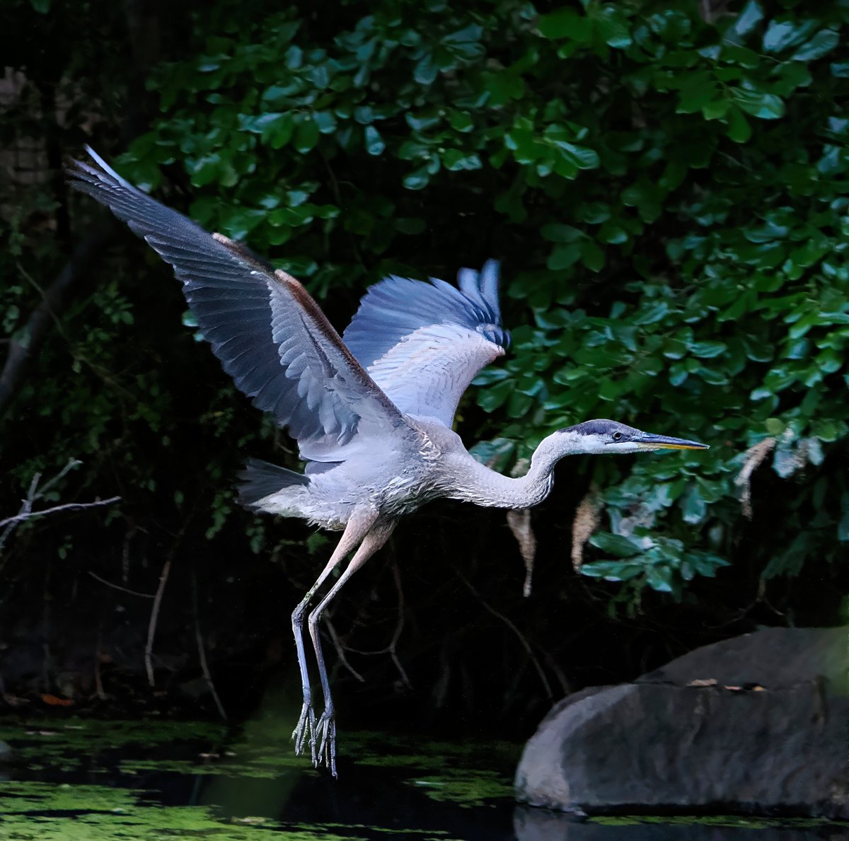 Above_96th tweet media